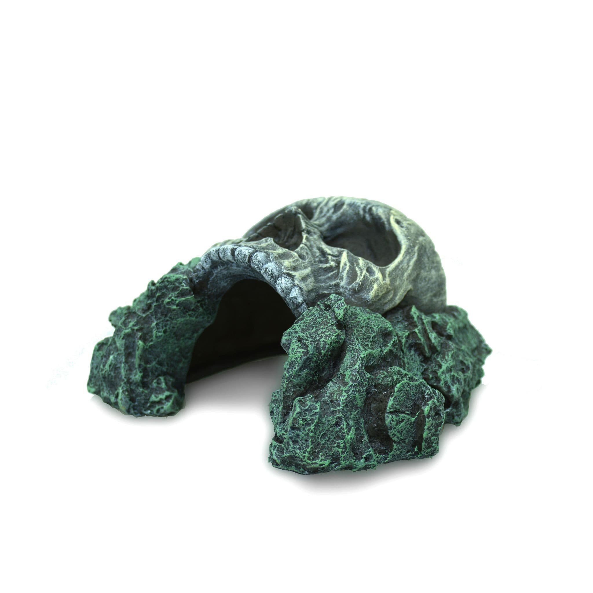 Terra Natura, kryjówka z czaszką, 16 cm