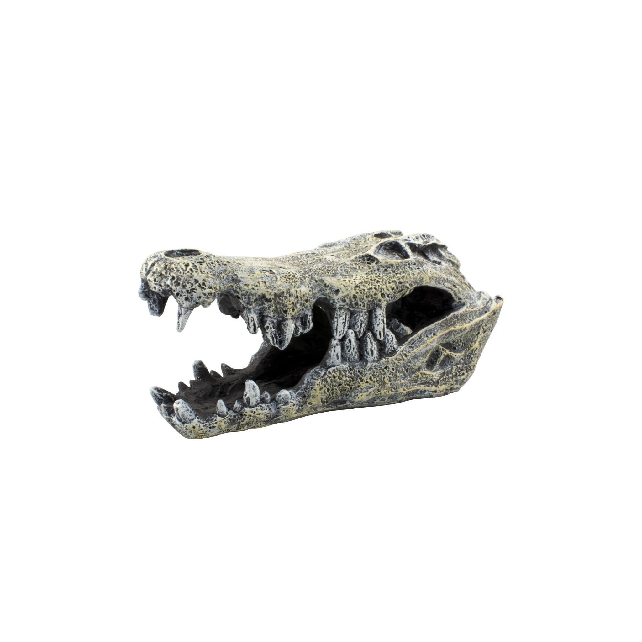 Terra Natura, kryjówka czaszka krokodyla, 14 cm