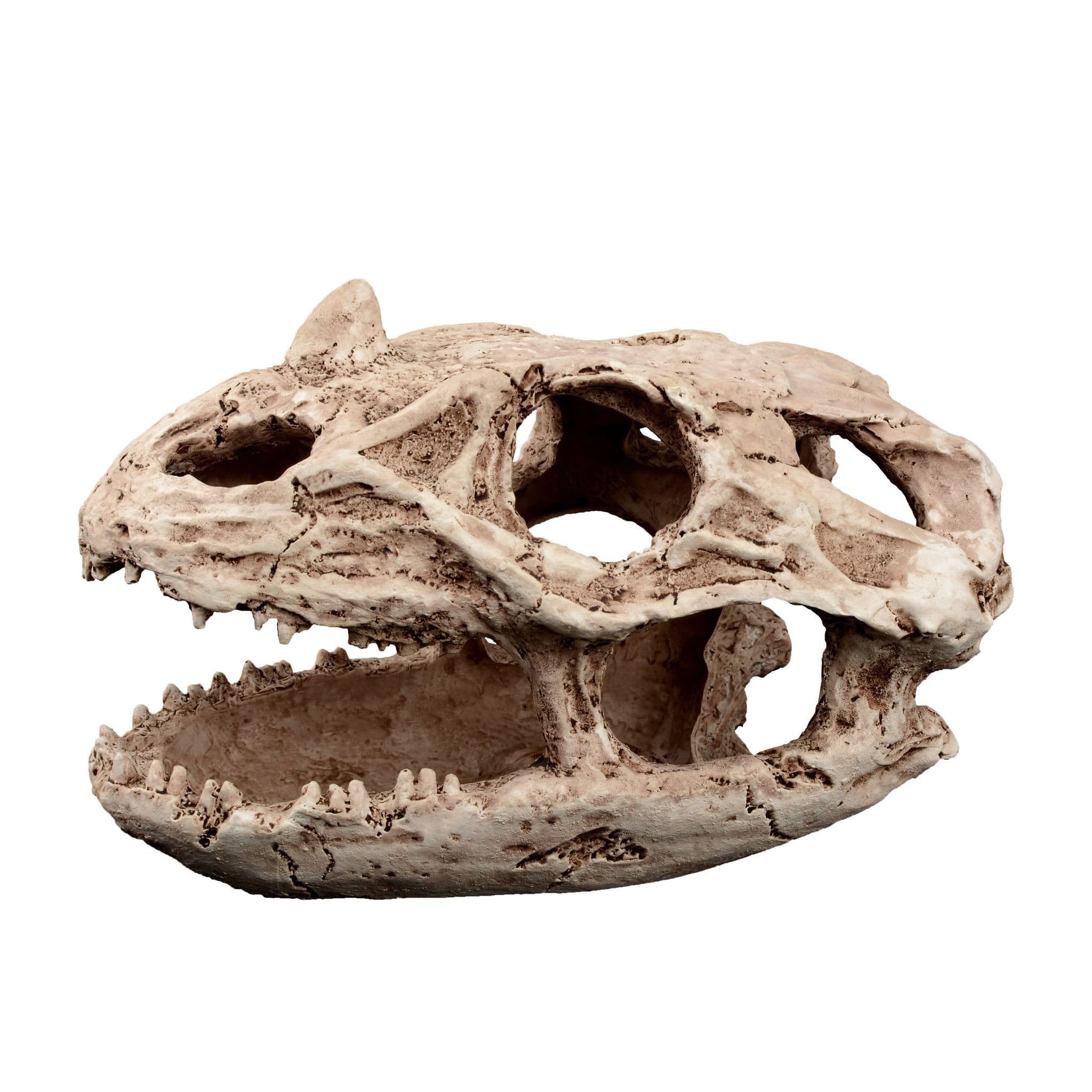 Terra Natura, kryjówka czaszka reptilozaura, 19 cm