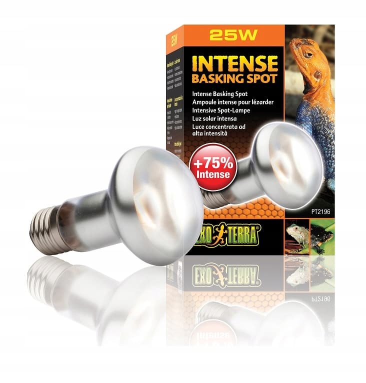 Żarówka Intense Basking Spot 25W