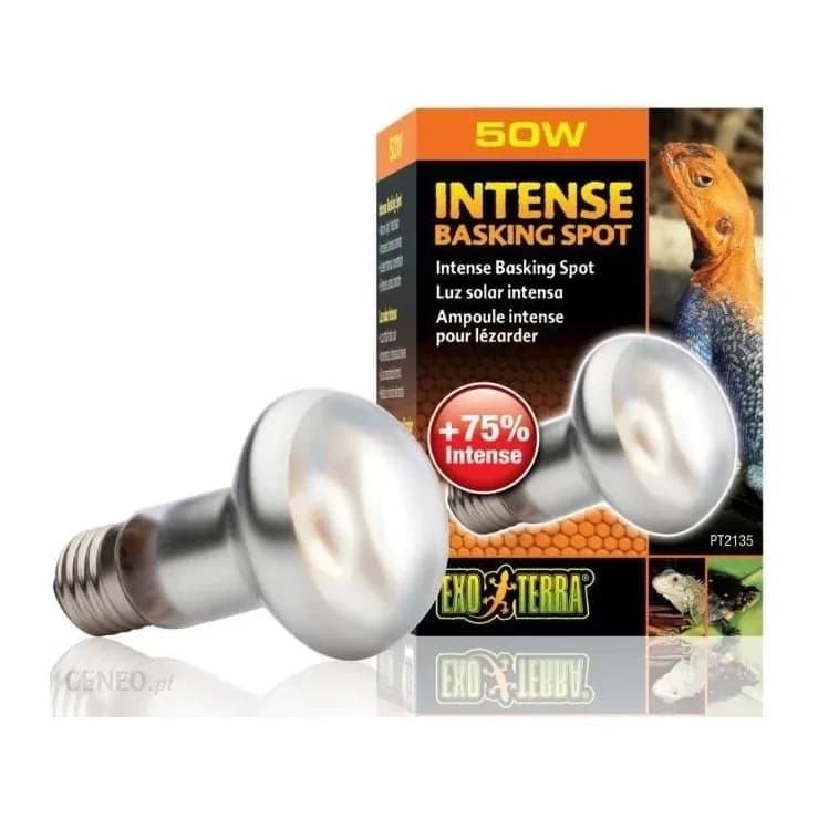 Żarówka Intense Basking Spot 50W, 63 mm