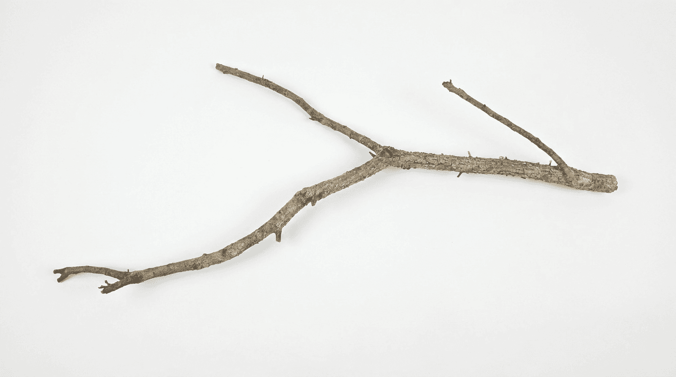Dąb korkowy gałąź naturalna #3 (317g)