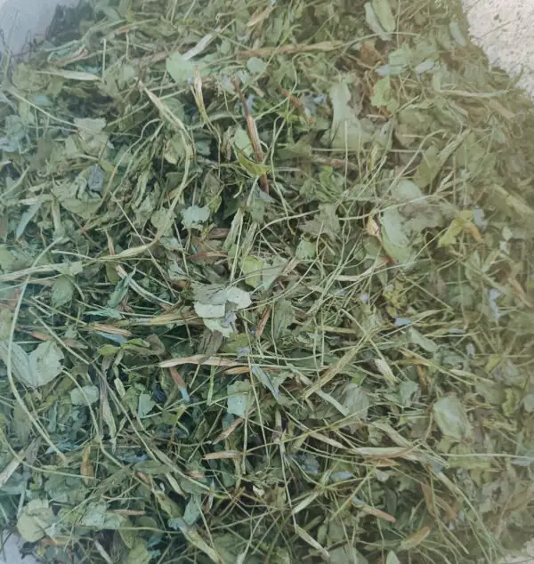 Koniczyna ziele, 2 kg