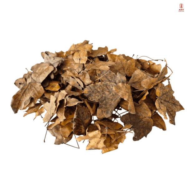 Liście suche do terrarium mix 25g