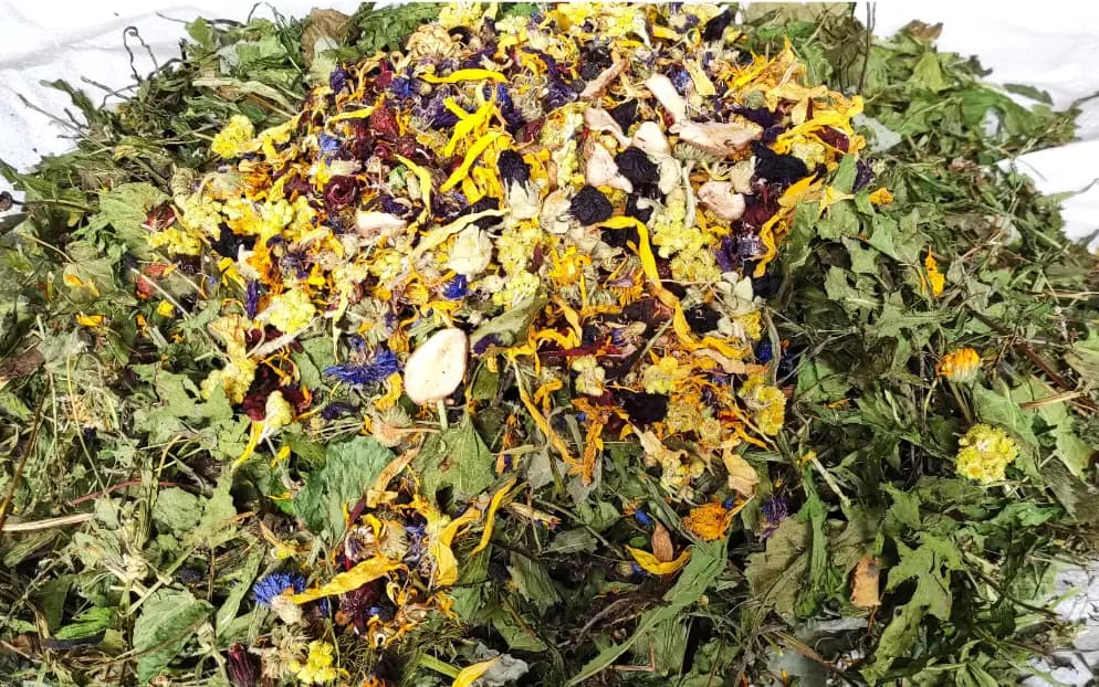 Mieszanka zbilansowana dla szynszyli i koszatniczek, 2 kg