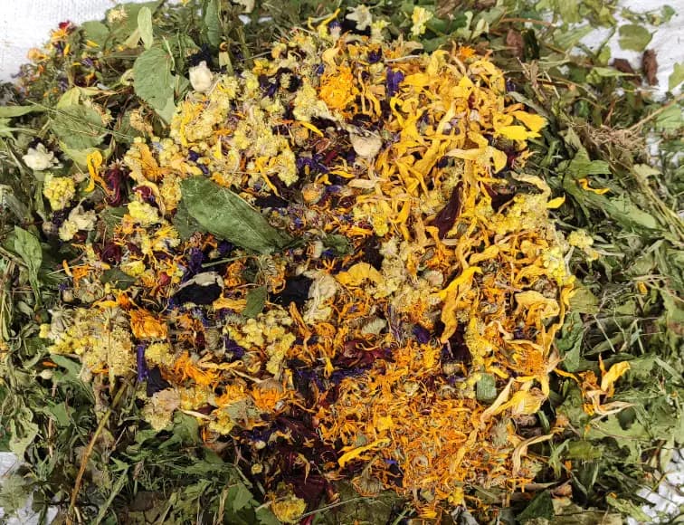 Mieszanka zbilansowana dla świnki morskiej/kawii domowej, 2 kg