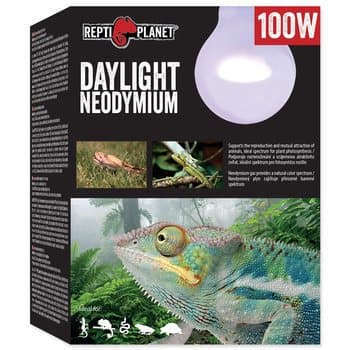 REPTI PLANET Neodymowa żarówka grzewcza dzienna 100W