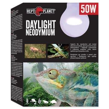 REPTI PLANET Neodymowa żarówka grzewcza dzienna 50W