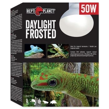 REPTI PLANET żarówka grzewcza dzienna mleczna Spot 50W do terrarium