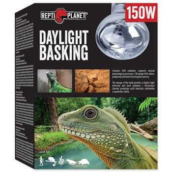 REPTI PLANET żarówka grzewcza dzienna Spot 150W do terrarium