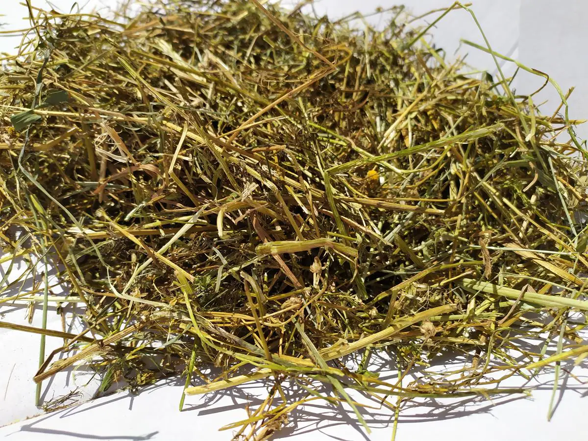 Rumianek ziele, 1 kg