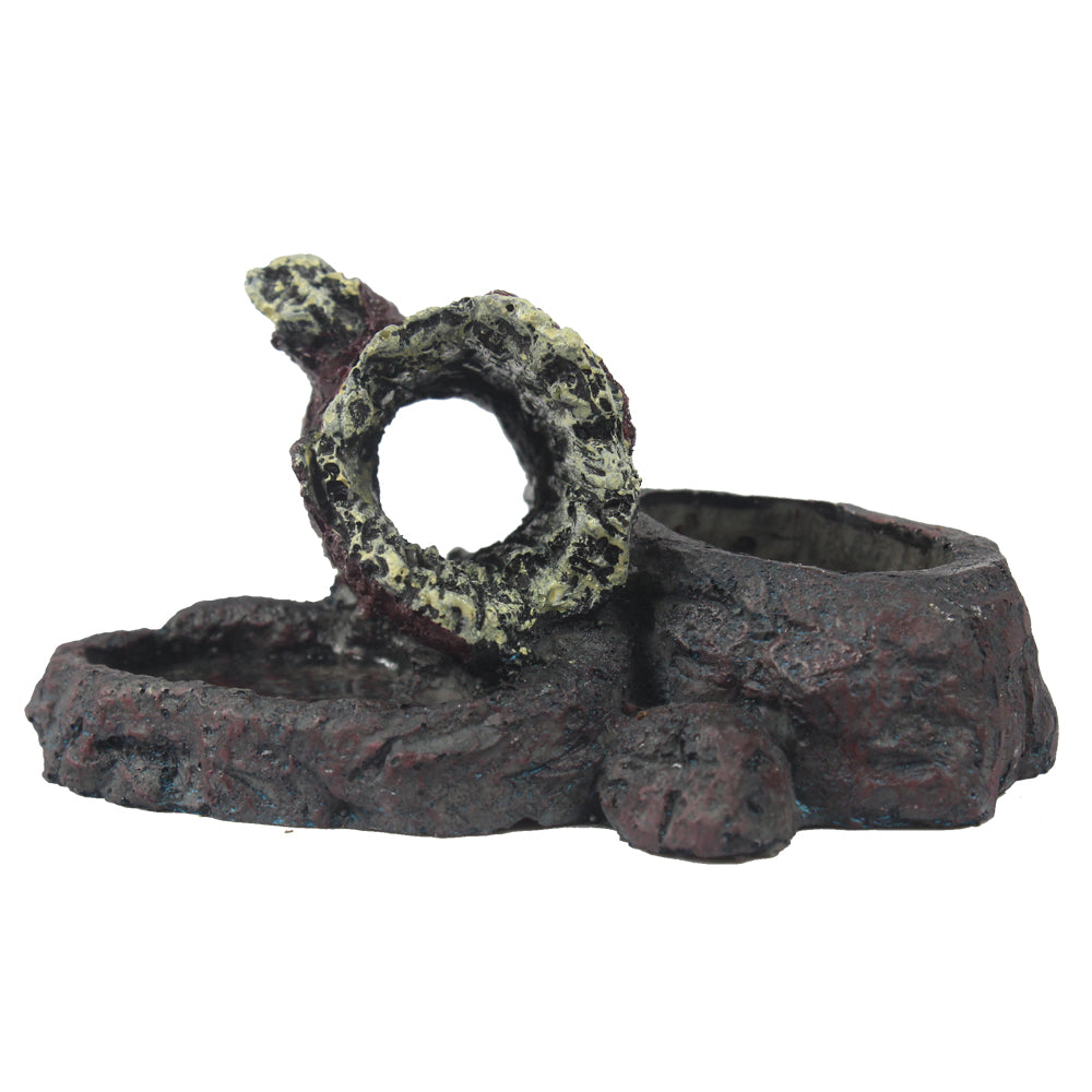 Produkt testowy -  Poidło kamienne do terrarium